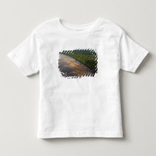 Camiseta De Bebé Río Essequibo, río más largo de Guyana, y 3