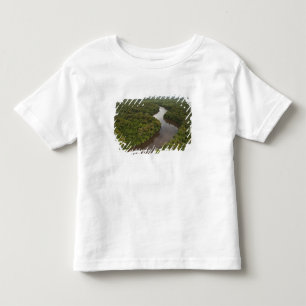 Camiseta De Bebé Río Essequibo, río más largo de Guyana, y 5