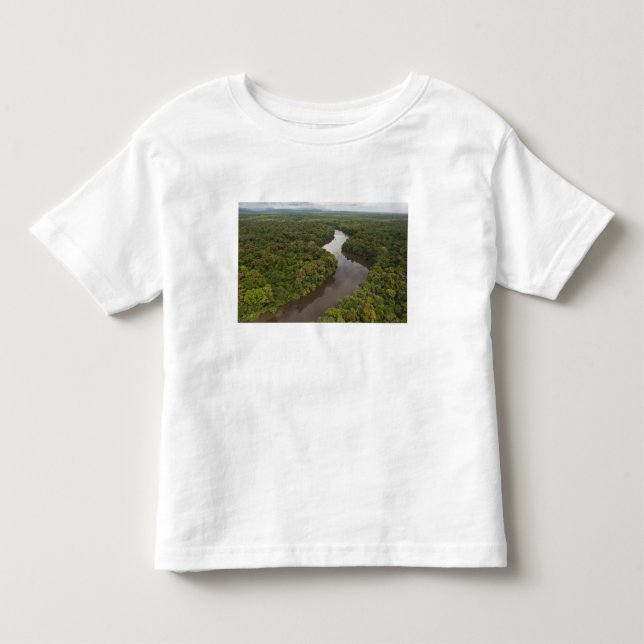 Camiseta De Bebé Río Essequibo, río más largo de Guyana, y 5 (Anverso)