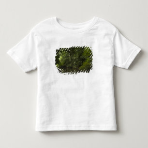 Camiseta De Bebé Río Mapari, Mapari Rupununi, Guyana.