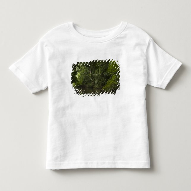 Camiseta De Bebé Río Mapari, Mapari Rupununi, Guyana. (Anverso)
