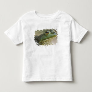 Camiseta De Bebé Río Nacional Búfalo, Arkansas del Noroeste