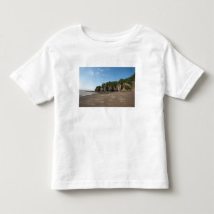 Camiseta De Bebé Rocas Hopewell y Sitio de Exploración de Mareas de