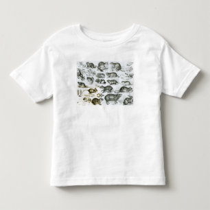 Camiseta De Bebé Rodentia-Roedores o animales de roedura