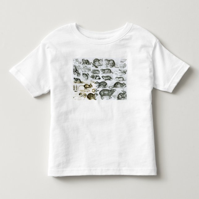 Camiseta De Bebé Rodentia-Roedores o animales de roedura (Anverso)