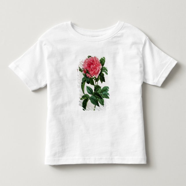 Camiseta De Bebé Rosa Gallica Regallis (Anverso)