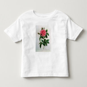Camiseta De Bebé Rosa Gallica Regallis