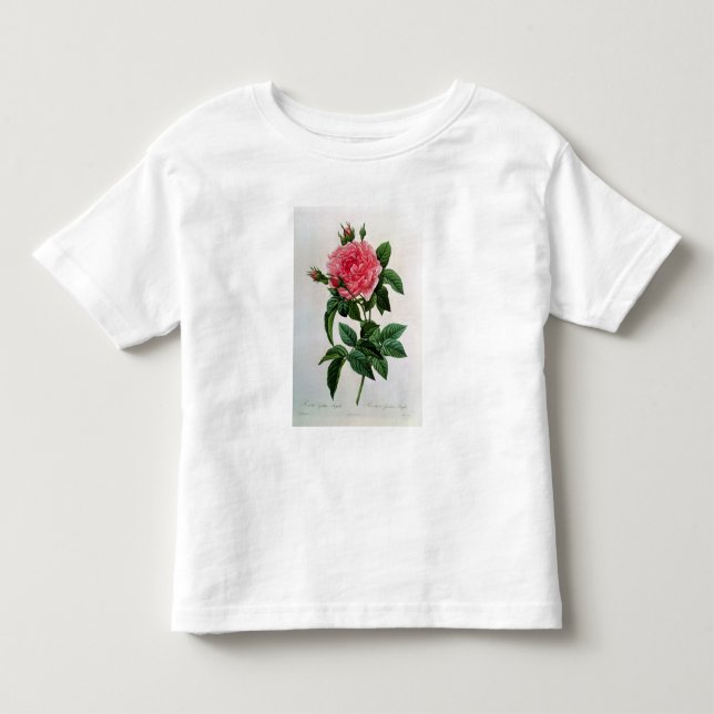 Camiseta De Bebé Rosa Gallica Regallis (Anverso)
