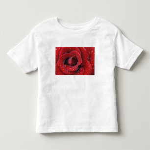 Camiseta De Bebé Rosa roja cubierta de rocío decorando un lugar de