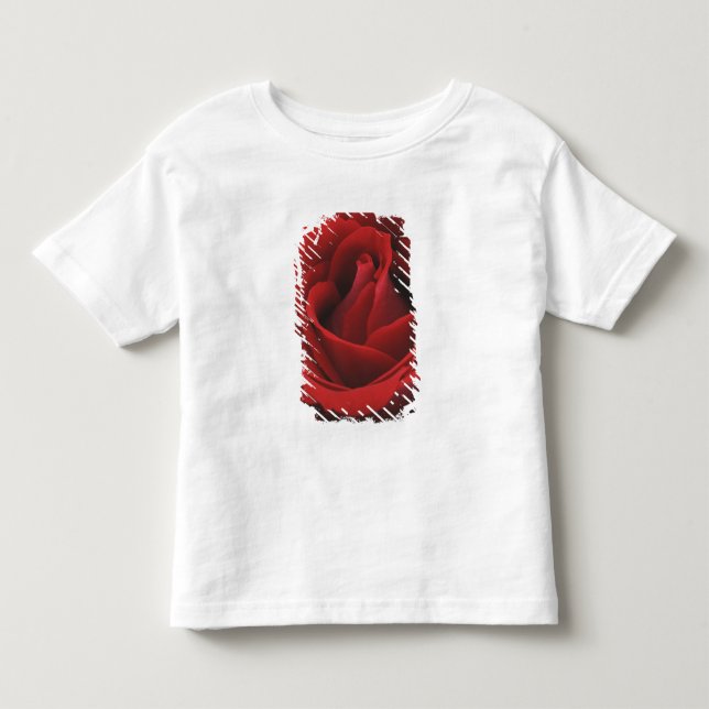 Camiseta De Bebé Rosa rojo floreciente (Anverso)