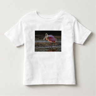 Camiseta De Bebé Roseate Spoonbill, Ajaia ajaja, Ding Darling