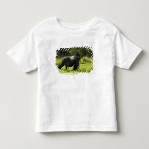 Camiseta De Bebé Ruanda, Parque Nacional de los Volcanes