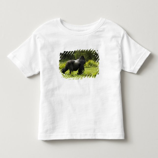 Camiseta De Bebé Ruanda, Parque Nacional de los Volcanes (Anverso)