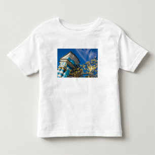 Camiseta De Bebé Rusia, Pushkin. Detalle de la puerta y torre de so