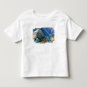 Camiseta De Bebé Rusia, Pushkin. Detalle de la puerta y torre de so