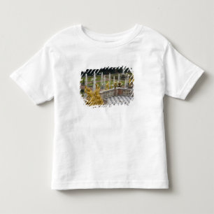 Camiseta De Bebé Rusia, San Petersburgo, Peterhoff (también conocid