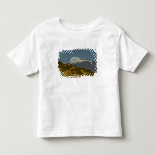 Camiseta De Bebé Salida de la luna sobre las montañas Sangre de Cri