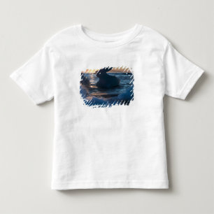 Camiseta De Bebé Salida del sol y formaciones de iceberg