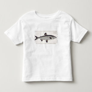 Camiseta De Bebé (Salmo Maraena) placa de color salmón XXVII de