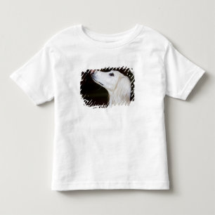 Camiseta De Bebé Saluki que mira para arriba