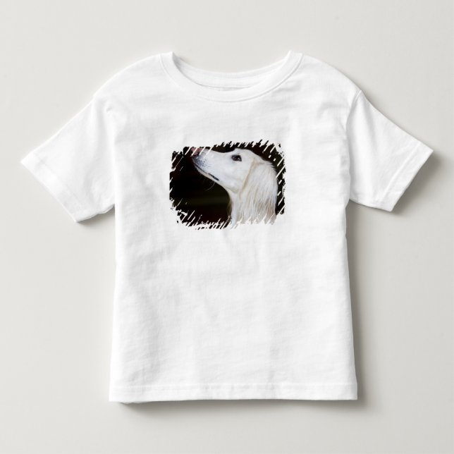 Camiseta De Bebé Saluki que mira para arriba (Anverso)