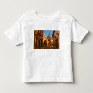 Camiseta De Bebé San Miguel de Allende, México. Crédito como:Nancy