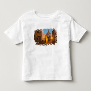 Camiseta De Bebé San Miguel de Allende, México. Crédito: Nancy