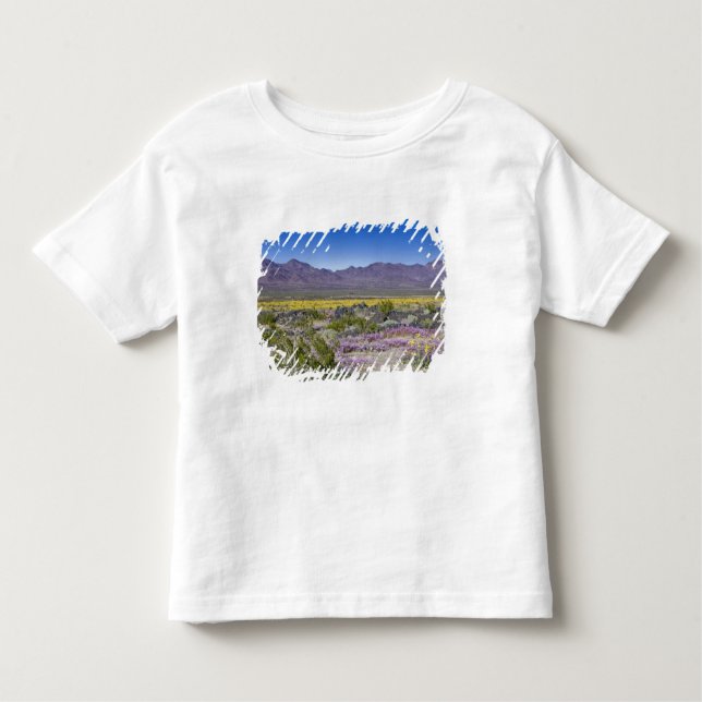 Camiseta De Bebé Sand Verbena & Desert Gold en el cráter Amboy, CA, (Anverso)