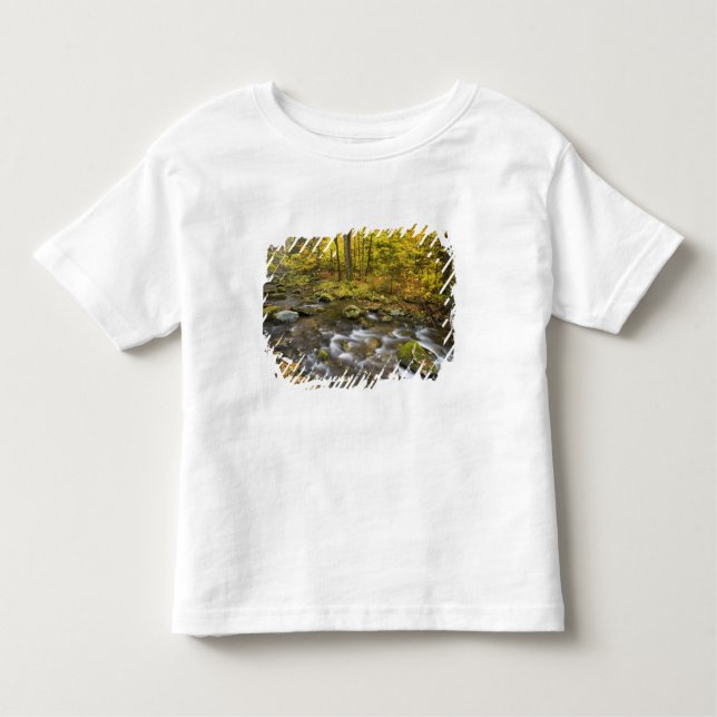 Camiseta De Bebé Sanderson Brook. Bosque Estatal Chester-Blanford. (Anverso)