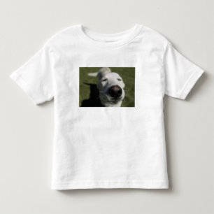 Camiseta De Bebé Santa Fe, Nuevo México