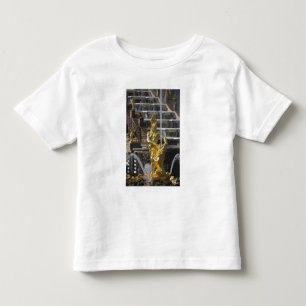 Camiseta De Bebé Santiago de Petersburgo, fuentes de la Gran Cascad