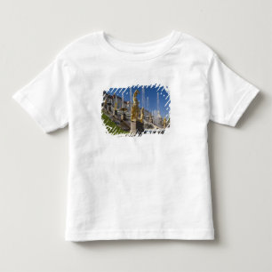 Camiseta De Bebé Santiago de Petersburgo, fuentes de la Gran Cascad