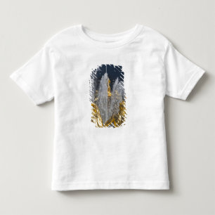 Camiseta De Bebé Santiago de Petersburgo, fuentes de la Gran Cascad