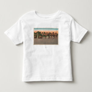Camiseta De Bebé Sarasota, la Florida - camellos en Ringling Bros