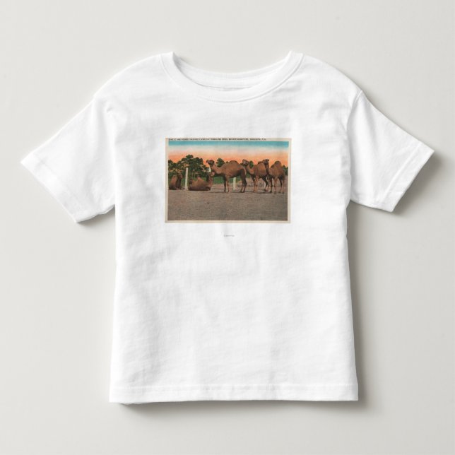 Camiseta De Bebé Sarasota, la Florida - camellos en Ringling Bros (Anverso)