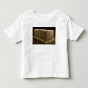 Camiseta De Bebé Sarcófago de la cucaracha de Abu (piedra caliza)