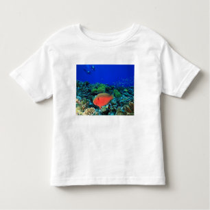 Camiseta De Bebé Scarus