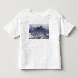 Camiseta De Bebé Schloss Hohenschwangau