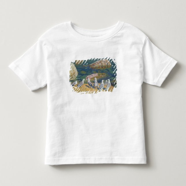 Camiseta De Bebé Seagulls, 1910 (Anverso)