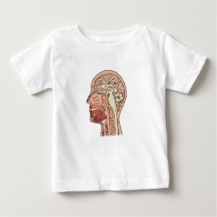 Camiseta De Bebé Sección transversal del cerebro del medio sagital