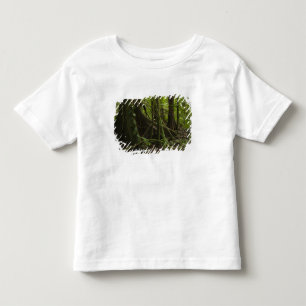 Camiseta De Bebé Selva tropical, río Mapari al norte de Rupununi,