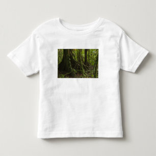 Camiseta De Bebé Selva tropical, río Mapari al norte de Rupununi,