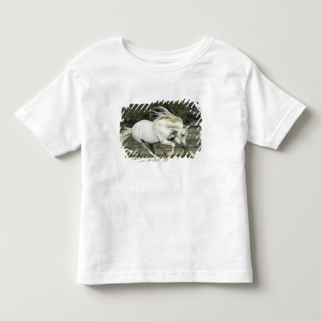 Camiseta De Bebé Semental Andaluz corriendo, PR (Anverso)