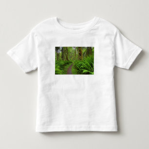 Camiseta De Bebé sendero Maple Glade, helechos y musgo cubierto