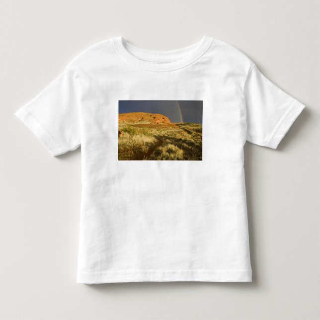 Camiseta De Bebé Sendero simple en Red Cliffs Desert Preserve cerca (Anverso)