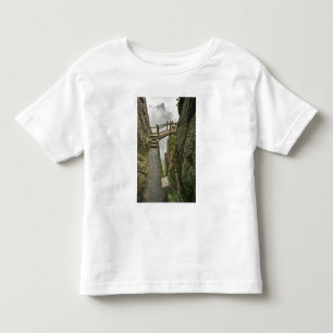Camiseta De Bebé Sendero y pequeño puente, Montaña Amarilla,