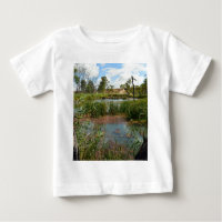 Serenidad silenciosa: Una rana verde sobre cañas e