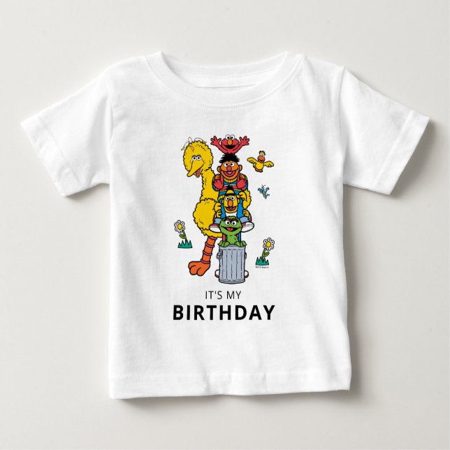 Camiseta De Bebé Sesame Street Characters & Street Sign Birthday Ba (Anverso)