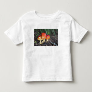 Camiseta De Bebé seta de la familia Amanita