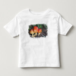 Camiseta De Bebé seta de la familia Amanita